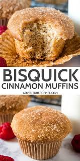 Bisquick Cinnamon Coffee Cake Muffins Melt In Your Mouth Bisquick Cinnamon Muffins In 2020 Cinnamon Muffins Bisquick Recipes Cinnamon Muffins Easy
