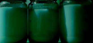 Domuz Yagi Buyusu Nedir Ve Nasil Bozulur Buyu Ve Sihir