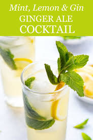 Gin Ginger Ale Cocktail Ginger Ale Cocktail Gin Recipes Cocktail Recipes Easy