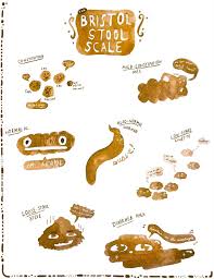 Image result for Bristol Stool Scale