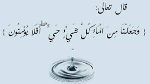 تدبر الاية وجعلنا من الماء كل شيء حي