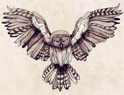 Maybe you would like to learn more about one of these? Log In Tumblr Owl Tattoo Design Owls Drawing Owl Illustration