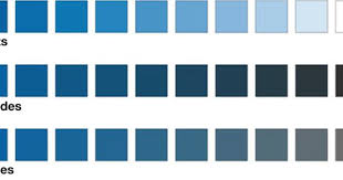 Value Scale Color Mixing Color Theory Tints