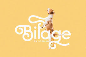 Although it can be traced, jardotty, another christopher jarman font, is better suited for tracing. Bilage 401848 Regular Font Bundles Modern Fonts Serif Fonts Fonts