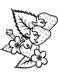 Supercoloring.com is a super fun for all ages: Summer Coloring Pages Primarygames Com Coloring Home