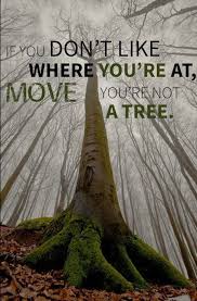 Crowdedwork Motivational Quotes For Employees Jim Rohn Quotes Tree Quotes