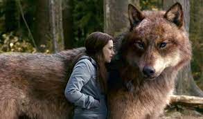 Eclipse Twilight Wolf Vampire Twilight Twilight Jacob