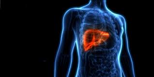 Hi, i started ketogenic diet 3 weeks ago and i had blood test 2 weeks ago. Health Is Keto Diet Safe For The Liver Keto Mojo
