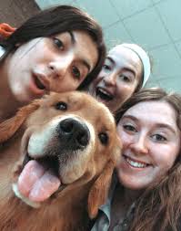 A Therapy Dog is More Than a Pet