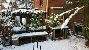 Il neige dans mon jardin. Il Neige Dans Mon Jardin De Nielle Avec Henri Des Les Renc Arts Des Amis D Hom Arts