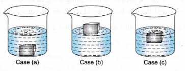 Measure exactly 10.0 ml of the sucrose . Ncert Class 9 Science Lab Manual Density Of Solid Cbse Tuts