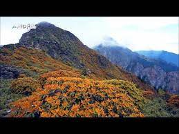 20151115 699 mit台灣誌南湖大山中央尖行大美五岩峰大險之絕壁山徑 natural landmarks nature mountains