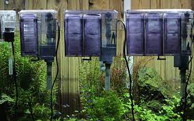 Semoga, beberapa langkah singkat di atas bisa. Cara Membuat Filter Aquarium Sederhana Agar Air Tetap Jernih Mag Fish
