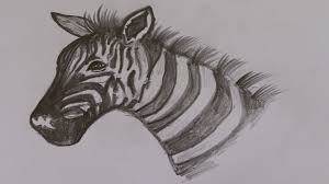The shape of the zebra are simple to figure out. How To Draw A Zebra S Head Youtube