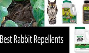 Hopefully it helps you too! Top 10 Best Rabbit Repellents And Deterrents Expert Review 2021