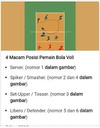 Mengenalpasti atau mengukur tahap ketangksan atlet bola jaring utm 3. Gambarkan Urutan Posisi Pemain Voli Dan Nama Pemain Brainly Co Id