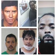 Reagan McCarthy (@reagmccarthy)