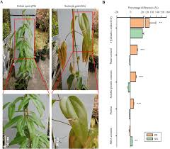 This single family residence is located at 2100 clematis ct, mckinney, tx. Proteome And Transcriptome Reveal The Involvement Of Heat Shock Proteins And Antioxidant System In Thermotolerance Of Clematis Florida Scientific Reports