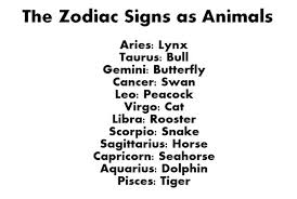 Virgo is crazy about petsvirgo is . What Animals Do Virgos Like
