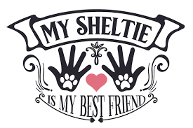 We provide a large selection of free svg files for silhouette, cricut and other cutting machines. My Sheltie Is My Best Friend Svg Cut Files Free 312536 Svg Download Design Cutting Files