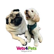 Vets4Pets Leicester Fosse Park