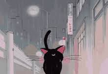 Sailormoon Cat Gifs Tenor Discover 577 free sailor moon png images with transparent backgrounds. sailormoon cat gifs tenor