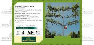 Pin On Espalier