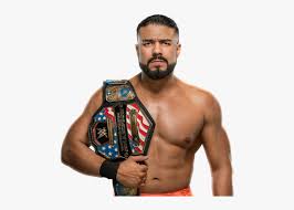 Roman reigns transparent png format: Wwe Royal Rumble 2020 Matches Hd Png Download Kindpng