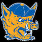 Javelina Basketball Camps