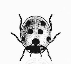 Black And White Ladybug Tattoo Poignet Tatouage Temporaire Tatouage Temporaire Par Somaarttattoo Bug Tattoo Lady Bug Tattoo Disney Tattoos