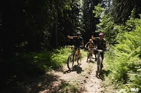 Resmi nair naked OnlyFans is the social platform