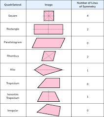 Do Lines Of Symmetry Have To Be Dotted Lines? - Quora