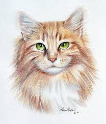 Calico Cat Art Print By Lena Auxier Cat Art Cat Art Print Cat Painting