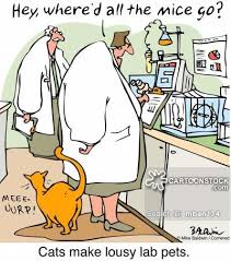 A wishbone, a backbone, and a funny bone. Medical Laboratory Funny Quotes Quotesgram