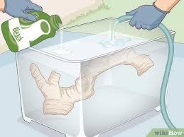 Check spelling or type a new query. 3 Easy Ways To Preserve Driftwood Wikihow