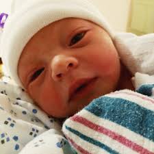 Introducing Dalia Schorr