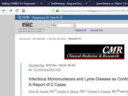 Risks We Face Today Save The Wildlife