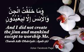 And I Did Not Create The Jinn And Mankind Except To Worship Me Quran 51 56 Noble Quran Quran Worship