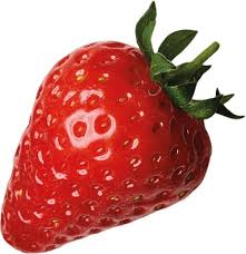 Maybe you would like to learn more about one of these? Can Pet Mice Eat Strawberries Hutch And Cage