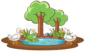 Fiddlehead fairy garden pollywog frog pond #16882. A Frog At The Pond Stock Vector Illustration Of Frog 32710866