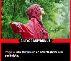 Senay Adli Kullanicinin Ortayakarisik Panosundaki Pin 2020 Biliyor Muydunuz Bilgi Bilgi Alintilari