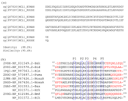 Salmon can be found in the ocean, in bays and in rivers. Biomolecules Free Full Text Predicted Hotspot Residues Involved In Allosteric Signal Transmission In Pro Apoptotic Peptide Mcl1 Complexes Html