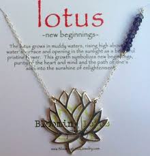Pin By Jessica Grenham On Tattoos Flower Tattoo Meanings Tattoos With Meaning Lotus Tattoo Meaning
