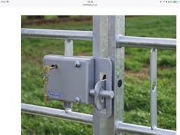 Heavy Duty Lock For Farm Gates 5 Lever And Comes Supplied With A Plate Size 154 X 130 X 36m With 77m Deadbolt Back Plate Suitab Farm Gate Galvanized Metal Gate