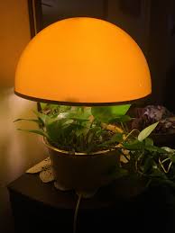 Magic Planter Plant Touch Lamp Looking For Info About This Lamp Rustic Lamps Lamp Design Lamp
