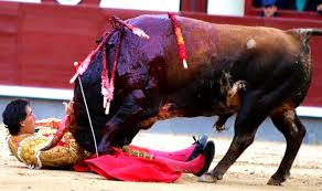 Image result for protesters bullfight in bogata