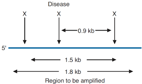 What type of mutation occurred? Chapter 3 Gene Expression Transcription Synthesis Of Proteins Translation And Regulation Of Gene Expression Flashcards Quizlet