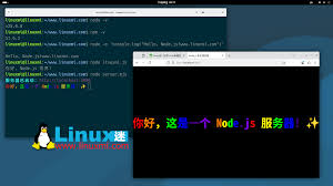 Node.js 25 正式发布：性能更强，安全更细，开发体验更现代- Linux迷