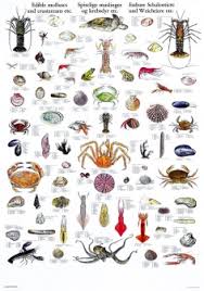 Molluscs Crustaceans