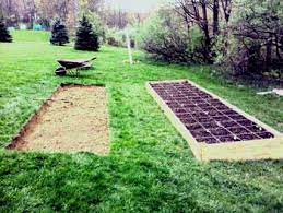 If you want to start an organic vegetable garden, select a suitable spot in your yard where you can dig a plot, build a raised bed, or set up planting containers. How To Start An Organic Garden Whole Lifestyle Nutrition